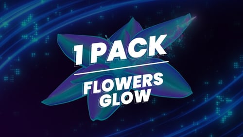 Flower Glow Loop Full Hd