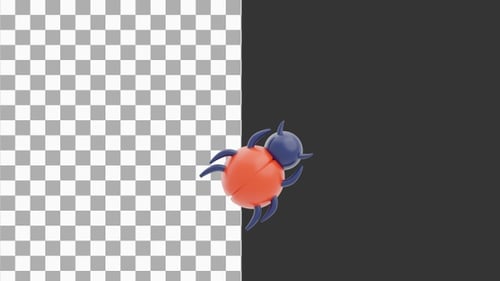 3D Animation of Detailed Insect Bug Illustration | Alpha Channel