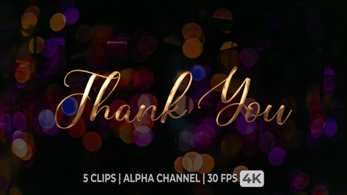 Elegant Metallic Thank You Text Reveal Collection