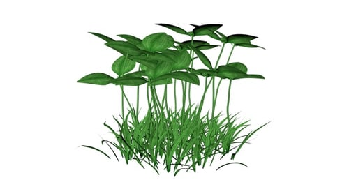 Animated Realistic Green Grass and Plants Swaying