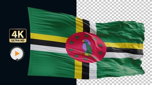 Realistic Waving Dominica National Flag Animation