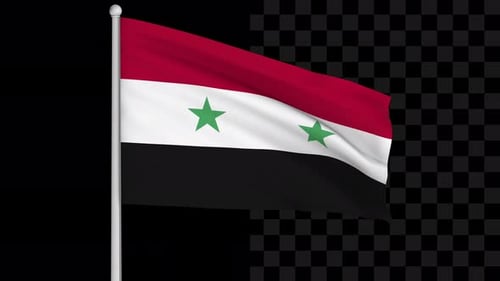 Waving Syrian Flag Animation with Alpha Channel