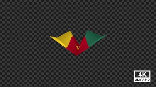 Paper Airplane Of Cameroon Flag V3