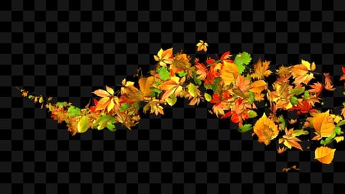 Animated Autumn Leaves Falling Transition Overlay