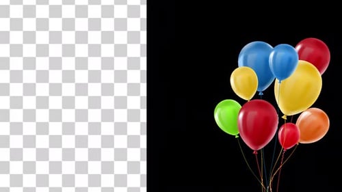 Celebration Party Balloon - Alpha