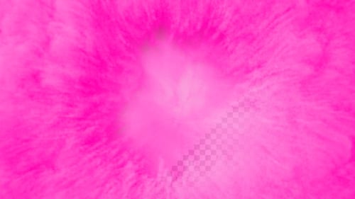 Fluid Pink Abstract Reveal Background Transition