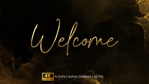 Elegant Golden Welcome Text Reveal Animation