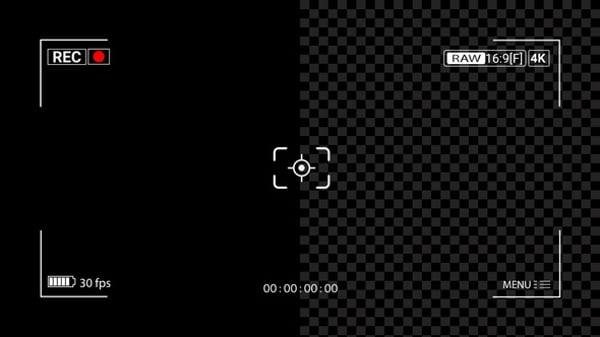 Vertical Video Camera Recording Screen Alpha, Elements Motion Graphics ...