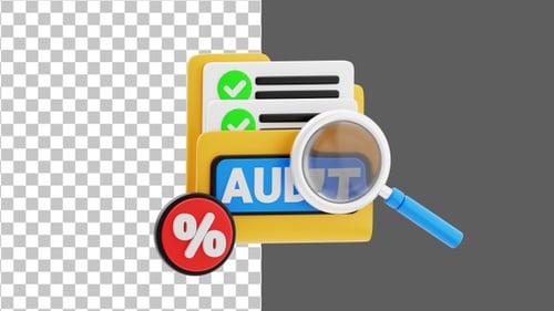 3D Tax Audit File | Alpha Channel