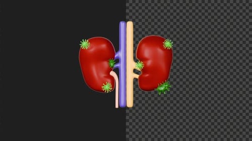 3D Cute Stylized Kidney Disease Animation | 4K | Alpha Channel | Transparent | 6s