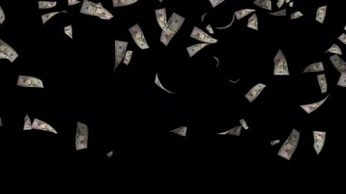 Animation of fifty dollars cash money falling and floating in the air on transparent background