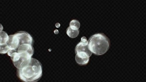 Seamless Rising Transparent Bubbles Animation with Alpha Channel