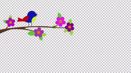 Vogel auf Baum | Alpha Channel