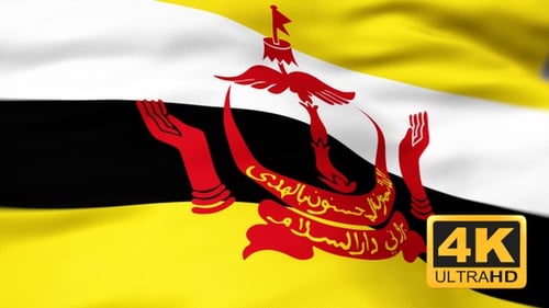 Brunei Darussalam Flag Waving Seamless Loop Animation