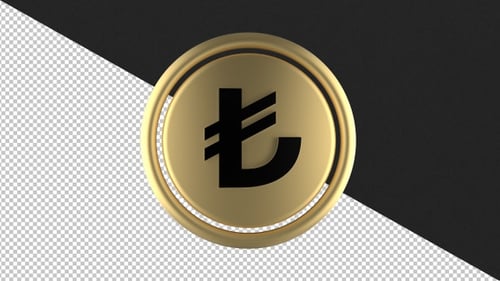 3D Gold Metallic Rotating Coin Emblem Animation