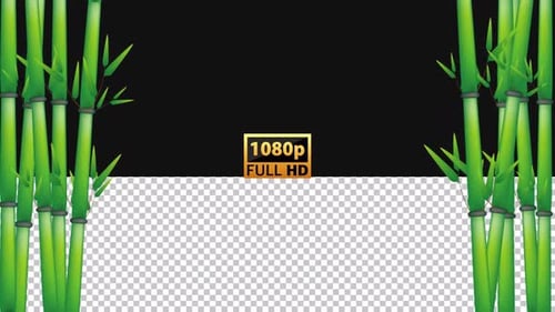 Lush Green Bamboo Leaves | Alpha Channel