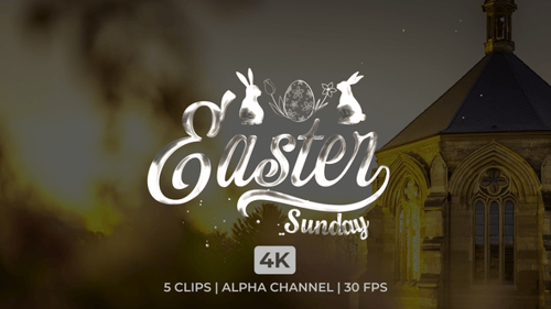 Fluid Easter Sunday Title Reveal Animation with Bunnies