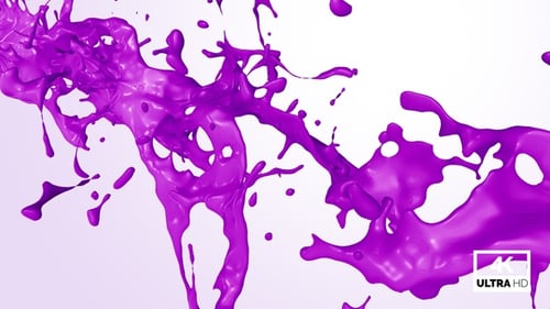 Dynamic Purple Liquid Splash Transition with Alpha Channel
