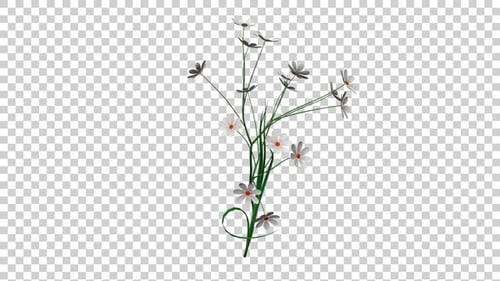 Animated Minimalist White Flowers Branching Growth
