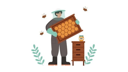 Woman Doing Honey Bee Farming Animation Alpha Channel