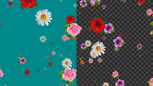 Fliegende Blumen Alpha Loop