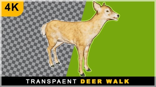 3D-Rendern von links nach rechts Wildhirsche, die auf transparentem Hintergrund laufen