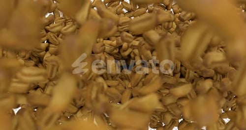 3D-Brot, das auf Alpha fällt