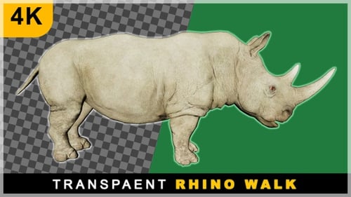 3D Cartoon Realistic Render Rhino Smooth Walk On Transparent Background
