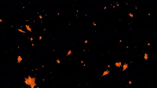 A flurry autumn leaves Falling to the ground. autumn leafs