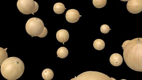 Falling Full Onions