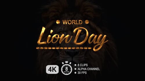 World Lion Day Golden Text Animation