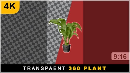 Portrait View Of 3D Render 360 Rotating Loop Plant Pot On Transparent Background
