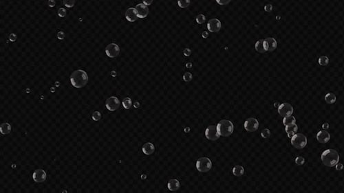 Transparent Floating Bubbles Alpha Channel Animation Element
