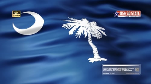 Realistic Waving South Carolina State Flag Loop
