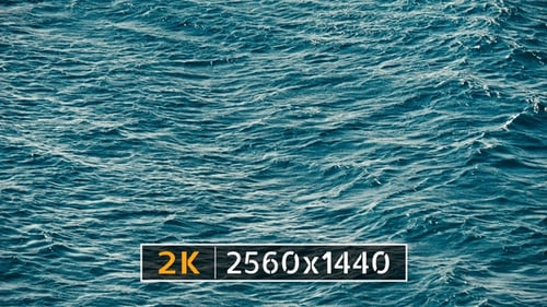 Sea