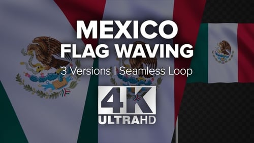 Seamless Loop Mexico Flag Waving with Alpha Channel