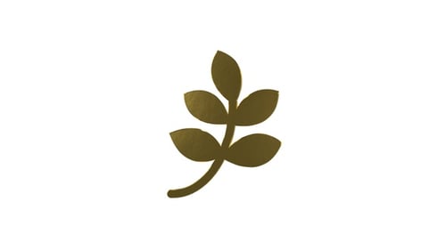 Elegant Golden Leaf Branch Rotation Animation