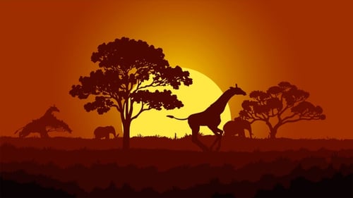 Sunset In Africa