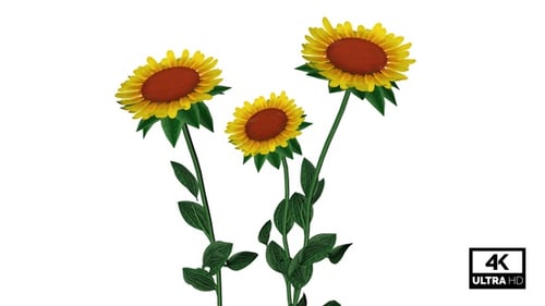 Animated Sunflowers Blooming with Green Stems and Leaves