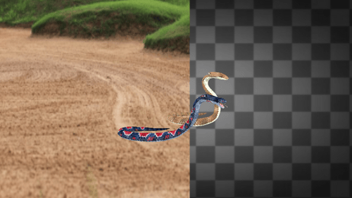 Two Snake Attack idle