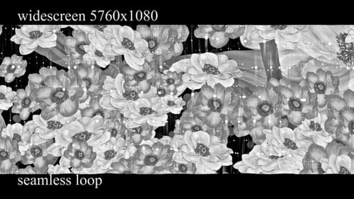 Widescreen Looping Background with White Flowers