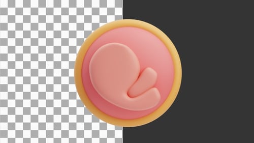 3D Animation of Stages of Fetus Growth in the Womb | Alpha Channel