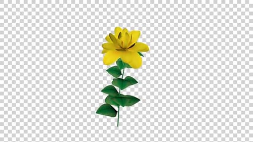 Beautiful Yellow Flower with Green Leaves Gently Swaying