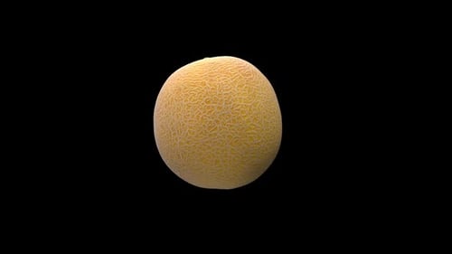 Realistic 3D Cantaloupe Melon Rotation with Alpha