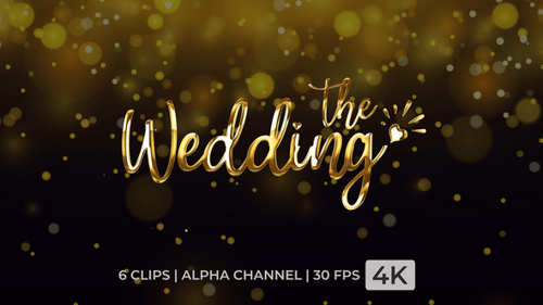 Elegant Metallic Wedding Title Reveal Animation Pack