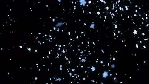 Falling Snowflakes Animated Loop for Winter Holidays