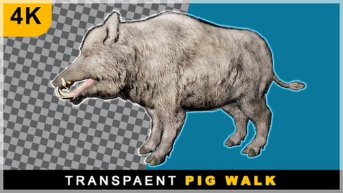 Von links nach rechts realistisches 3D-Rendering, laufendes Wildschwein auf transparentem Hintergrund