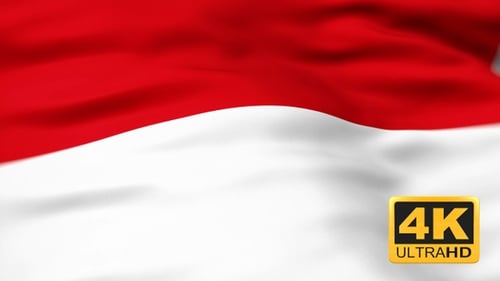 Realistic Waving National Flag Slow Motion Animation