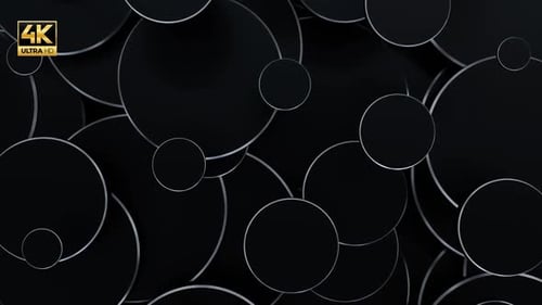 Animated Black Circles with Silver Borders Background