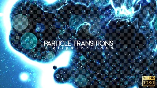 Particle Transitions